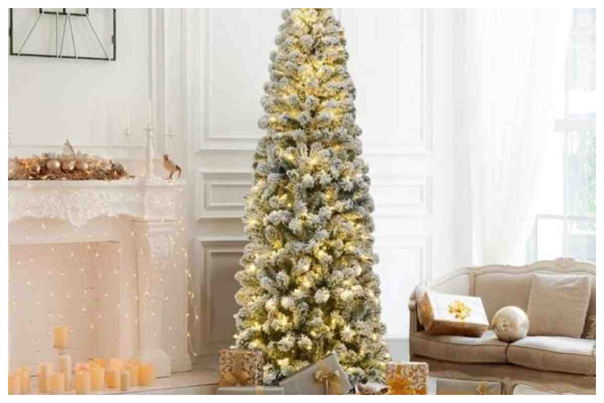 promo leroy marlen alberi natale