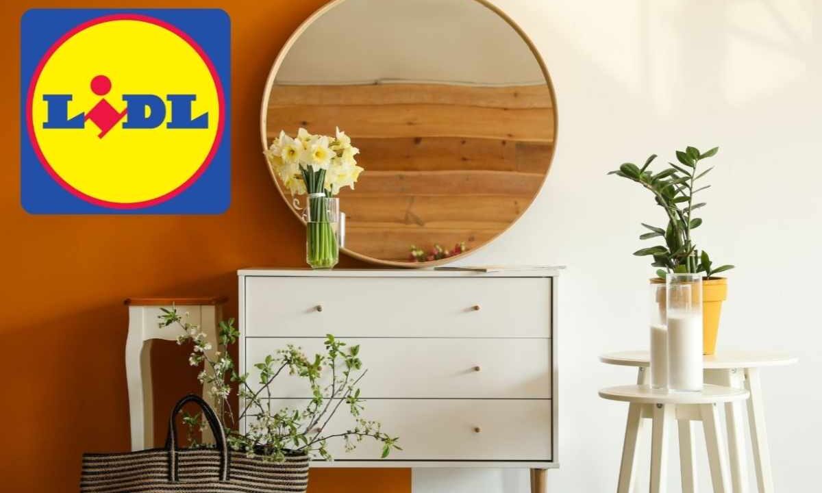 mobili lidl