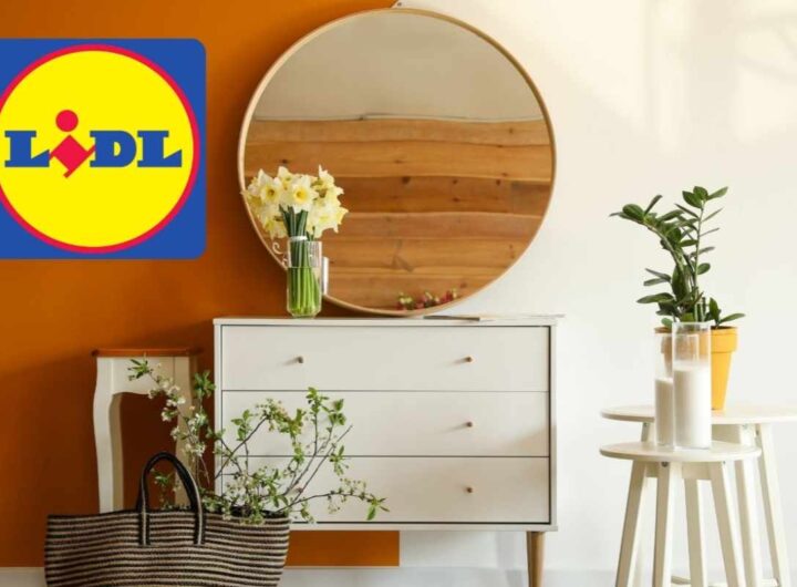 mobili lidl