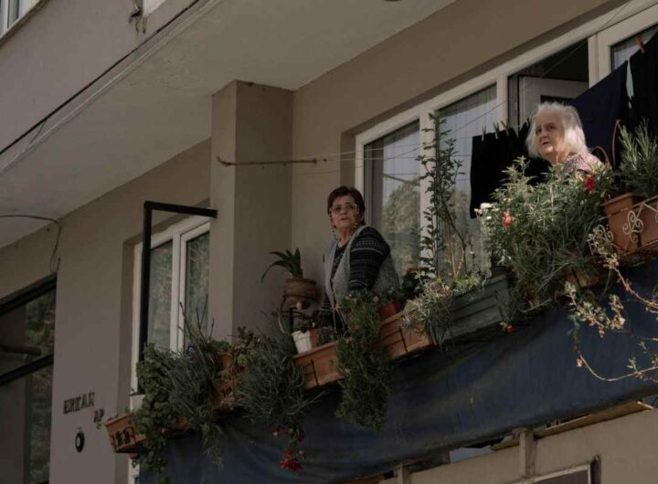 Tenere lontani i vicini impiccioni con le piante