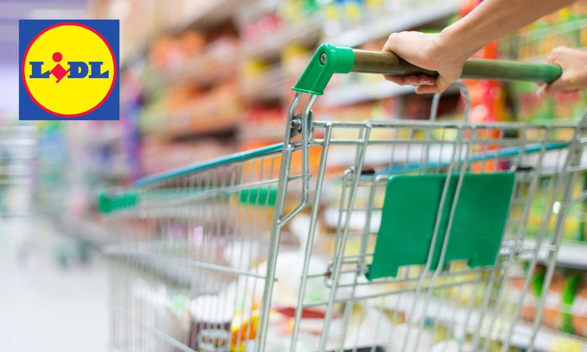 Lidl mette in vendita l’organizer che fa invidia a Ikea