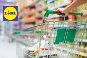 Lidl mette in vendita l’organizer che fa invidia a Ikea