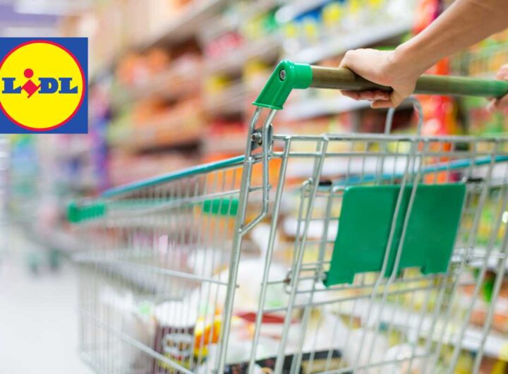 Lidl mette in vendita l’organizer che fa invidia a Ikea