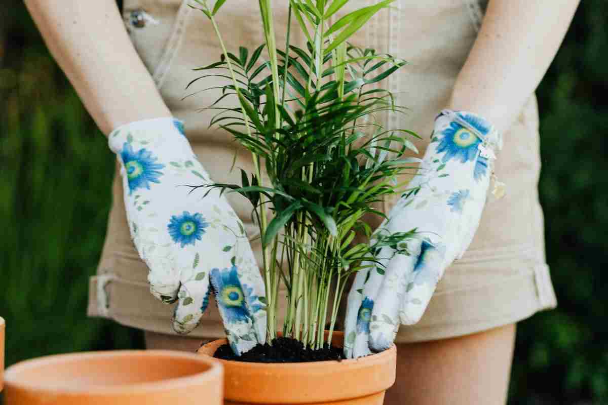 piante segnale da non sottovalutare