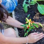 piante segnale da non sottovalutare