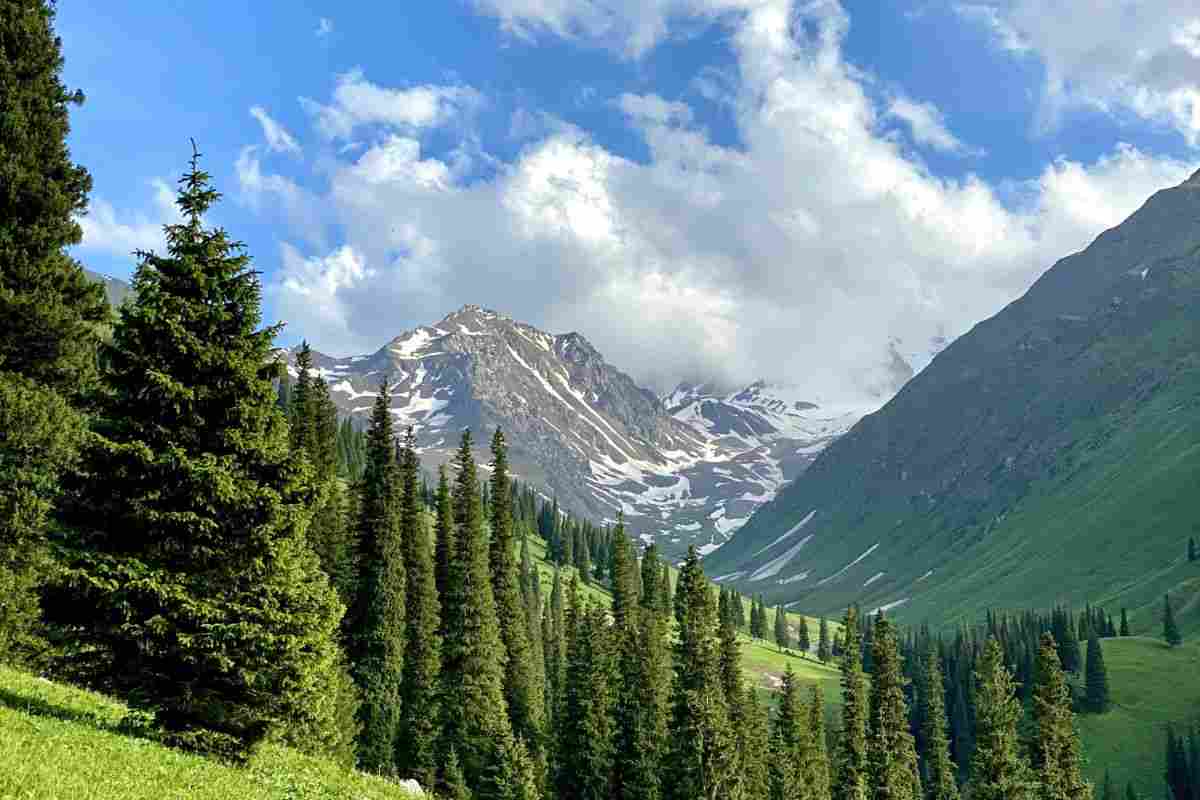 La nuova frontiera dell'Ecoturismo