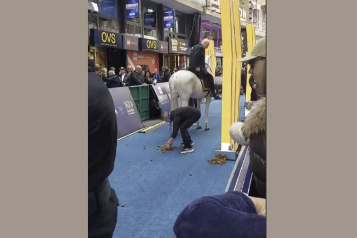 Questo incidente solleva interrogativi sulla gestione degli animali nei grandi eventi televisivi. Seppur il Festival di Sanremo